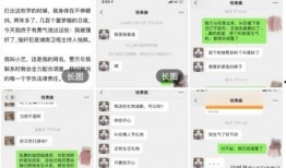 蓝玫瑰爆料聊天记录视频,聊天记录视频背后的惊人真相